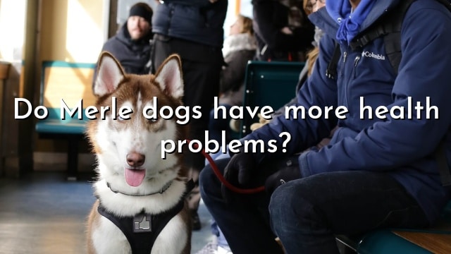 Do Merle dogs have more health problems?
