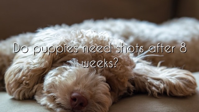 Do puppies need shots after 8 weeks?