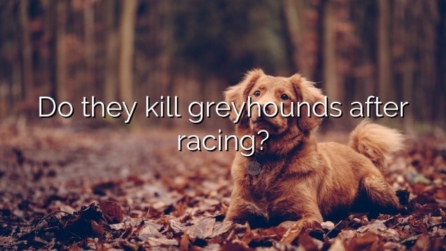 Do they kill greyhounds after racing?