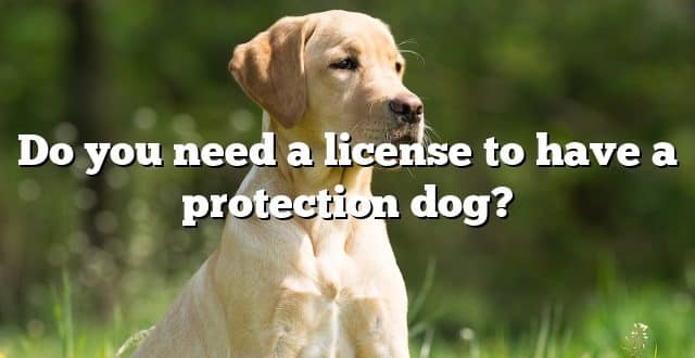 Do you need a license to have a protection dog?