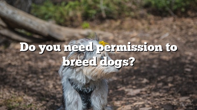 Do you need permission to breed dogs?