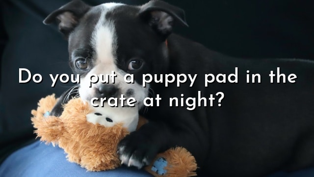 Do you put a puppy pad in the crate at night?