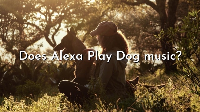 Does Alexa Play Dog music?