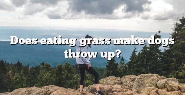 Does eating grass make dogs throw up?
