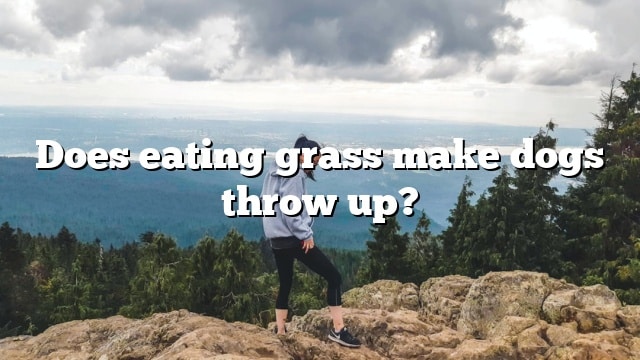 Does eating grass make dogs throw up?