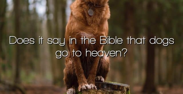 Does it say in the Bible that dogs go to heaven?