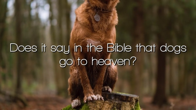 Does it say in the Bible that dogs go to heaven?