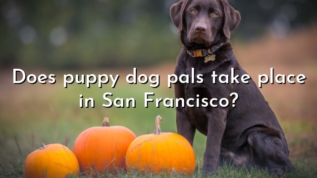 Does puppy dog pals take place in San Francisco?