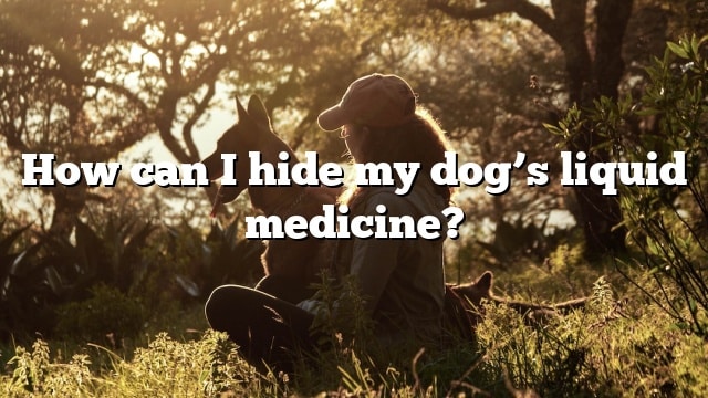 How can I hide my dog’s liquid medicine?