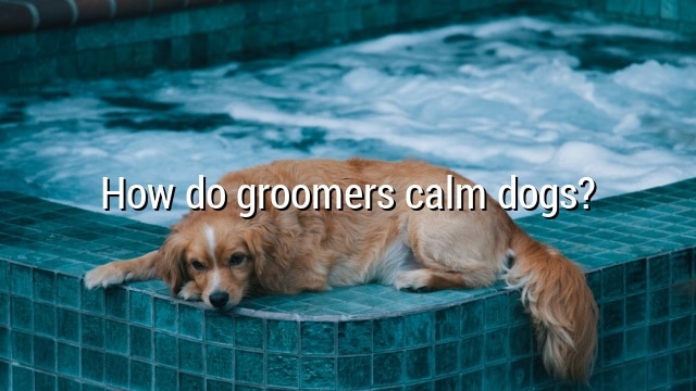 How do groomers calm dogs?