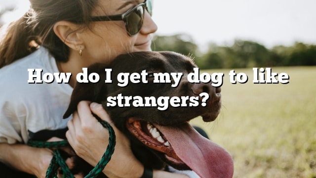 How do I get my dog to like strangers?