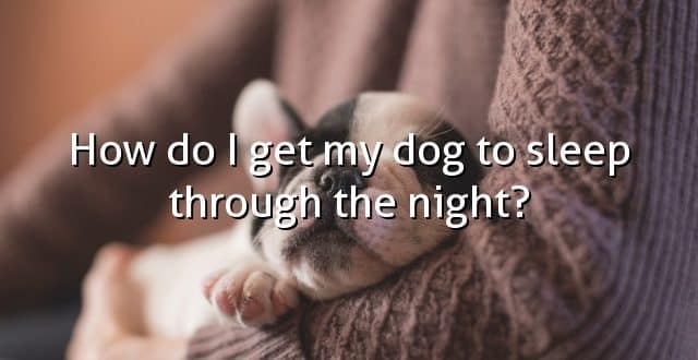 How do I get my dog to sleep through the night?