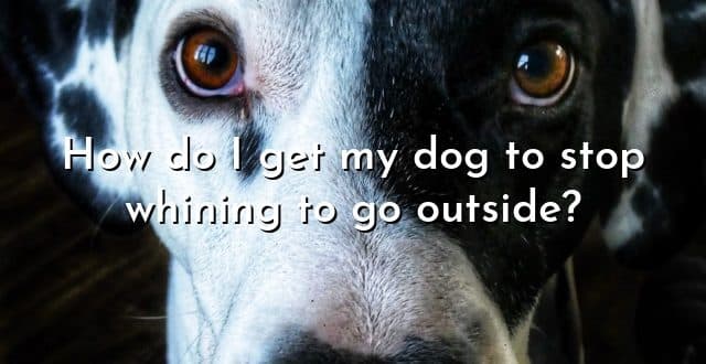 How do I get my dog to stop whining to go outside?