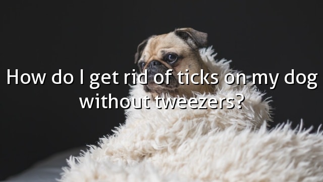How do I get rid of ticks on my dog without tweezers?