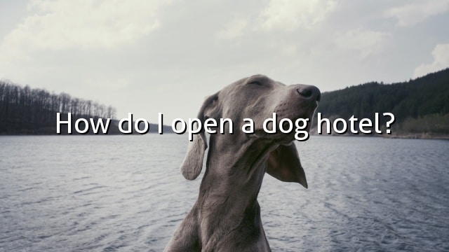 How do I open a dog hotel?