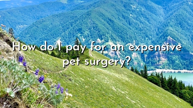 How do I pay for an expensive pet surgery?