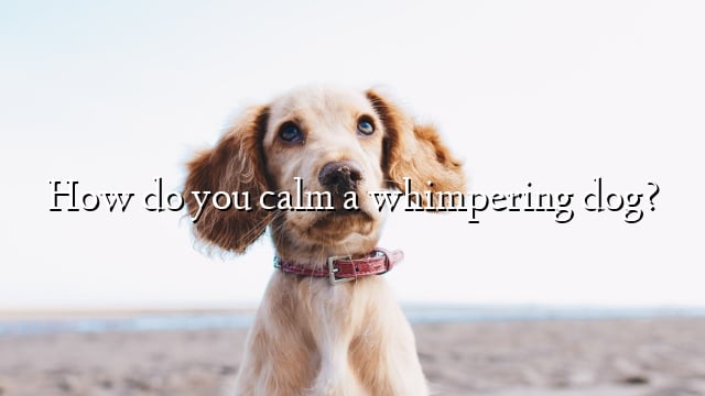 How do you calm a whimpering dog?