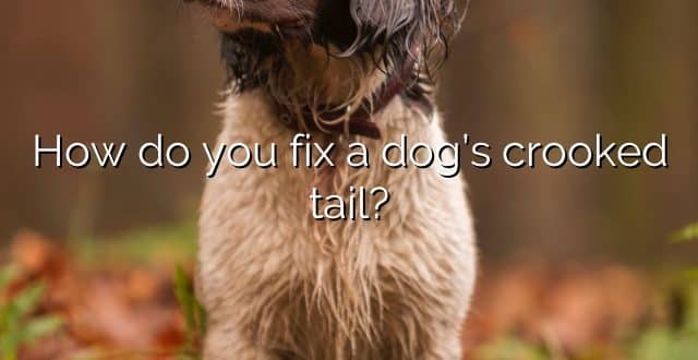 How do you fix a dog’s crooked tail?