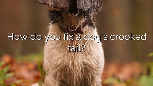 How do you fix a dog’s crooked tail?