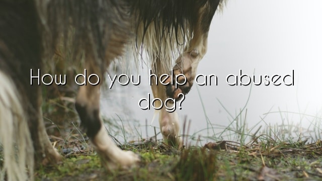 How do you help an abused dog?