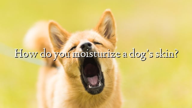 How do you moisturize a dog’s skin?