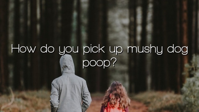 How do you pick up mushy dog poop?