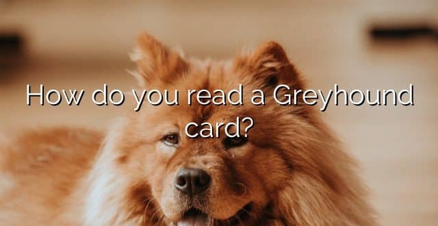 How do you read a Greyhound card?