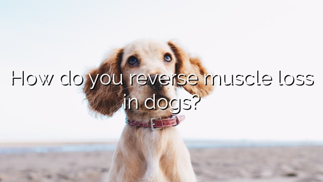 How do you reverse muscle loss in dogs?