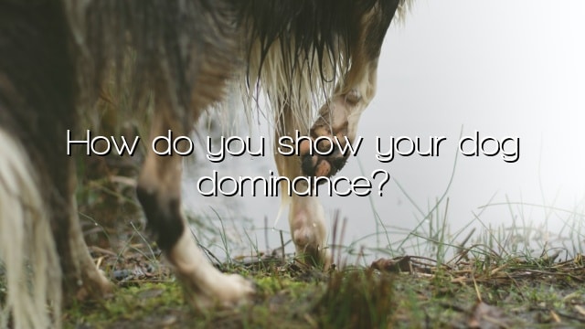 How do you show your dog dominance?