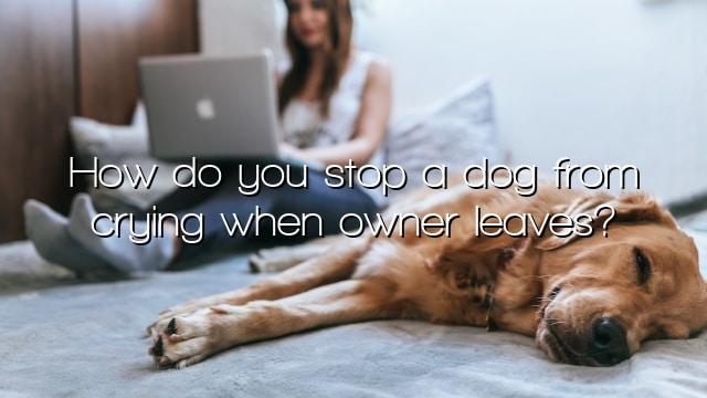 How do you stop a dog from crying when owner leaves?