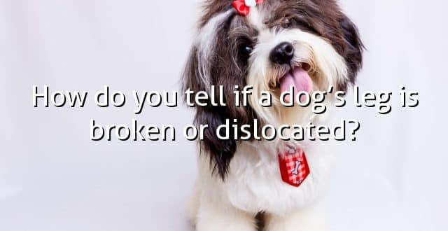 How do you tell if a dog’s leg is broken or dislocated?