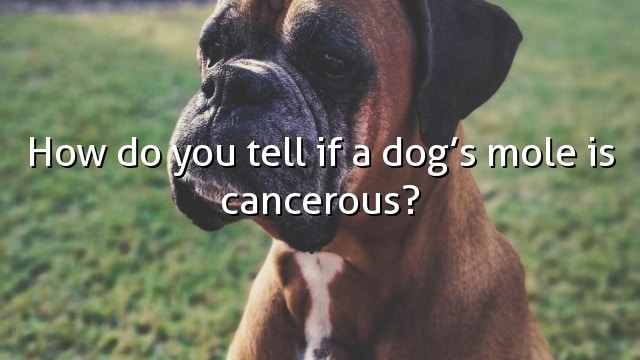 How do you tell if a dog’s mole is cancerous?