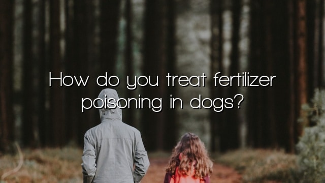 How do you treat fertilizer poisoning in dogs?