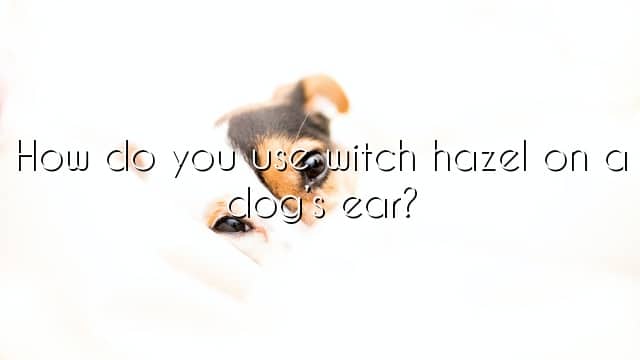 How do you use witch hazel on a dog’s ear?
