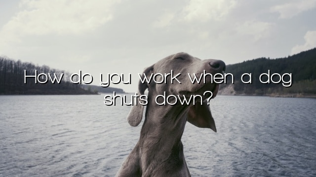How do you work when a dog shuts down?