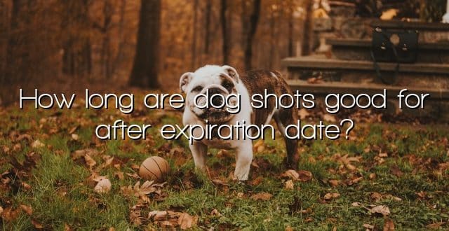 How long are dog shots good for after expiration date?