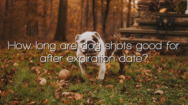 How long are dog shots good for after expiration date?