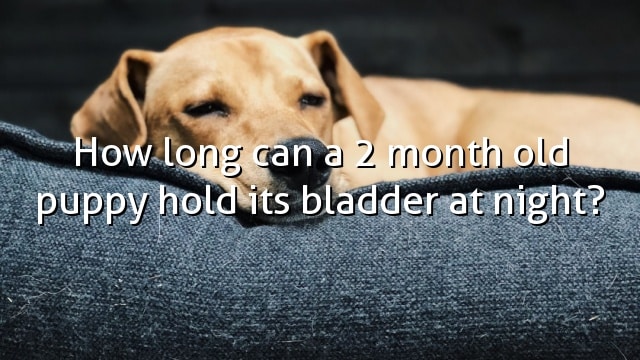 How long can a 2 month old puppy hold its bladder at night?
