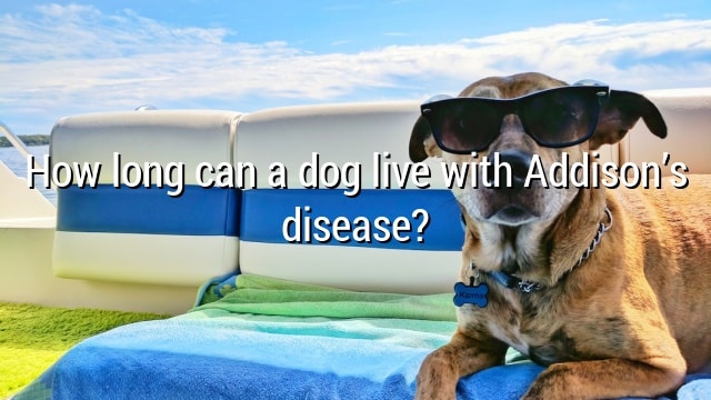 How long can a dog live with Addison’s disease?
