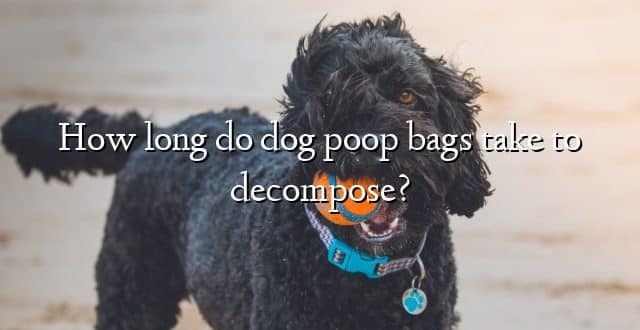 How long do dog poop bags take to decompose?