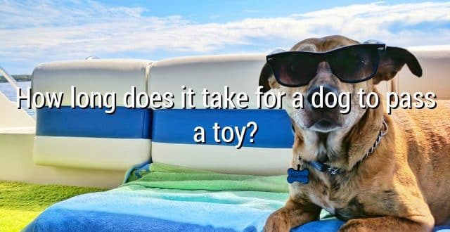How long does it take for a dog to pass a toy?