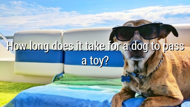 How long does it take for a dog to pass a toy?