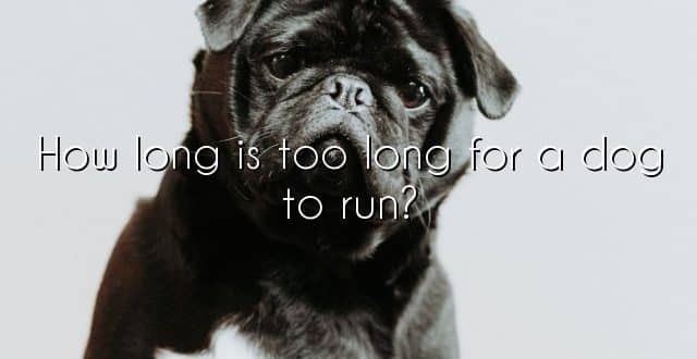 How long is too long for a dog to run?