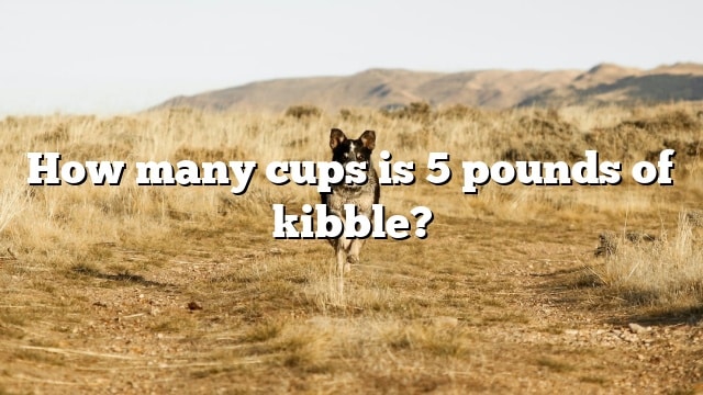 How many cups is 5 pounds of kibble?