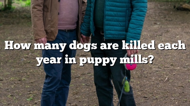 How many dogs are killed each year in puppy mills?
