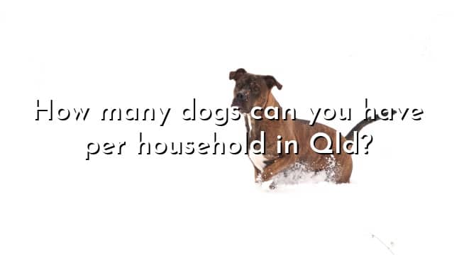 How many dogs can you have per household in Qld?