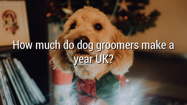 How much do dog groomers make a year UK?