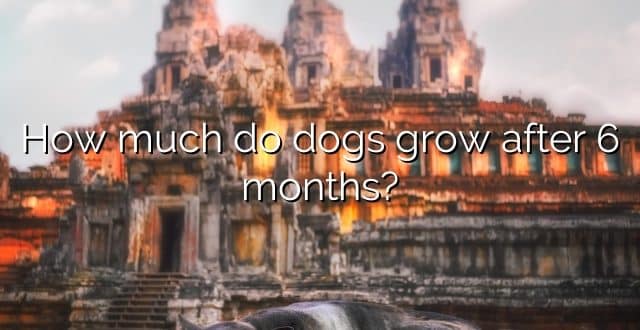 How much do dogs grow after 6 months?