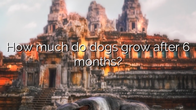 How much do dogs grow after 6 months?