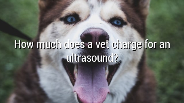 How much does a vet charge for an ultrasound?